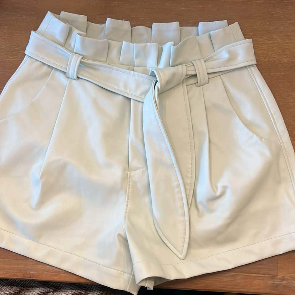 David Lerner light pastel green shorts sz S